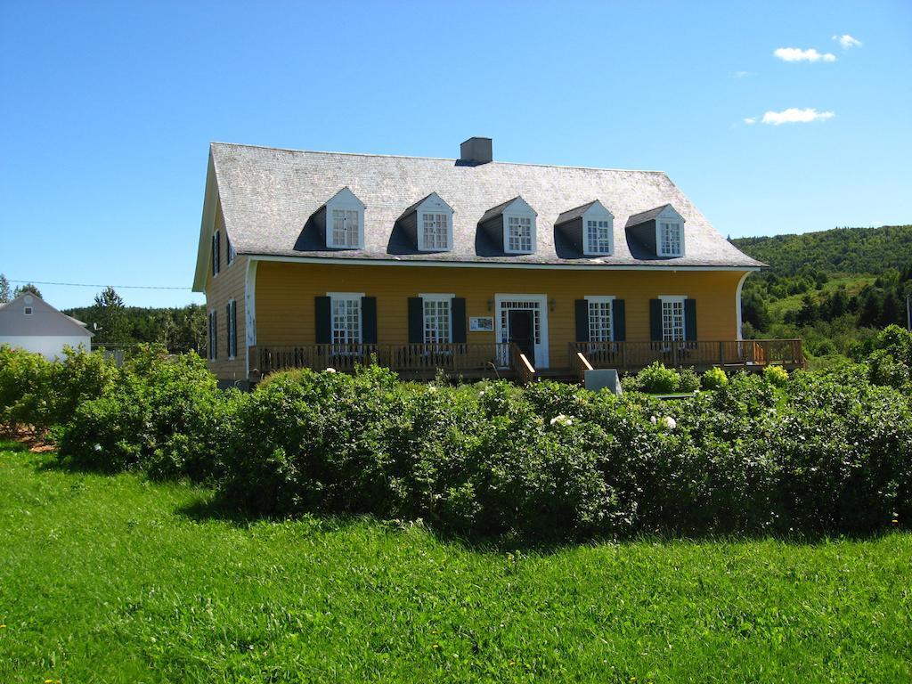 Motel Le Noroit L'Anse-au-Griffon Exterior foto